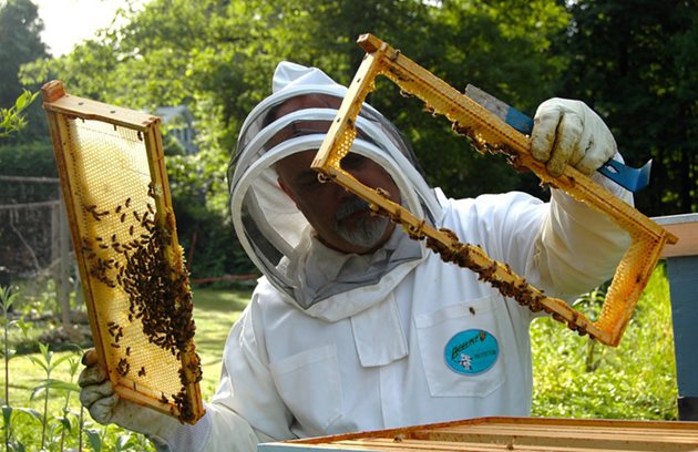 За 8 месеца през 2019 г. обемът на износа на мед е нараснал почти един и половина пъти в сравнение със същия период на 2018 г. и възлиза на 31,8 хиляди тона в размер на 58,5 милиона долара.