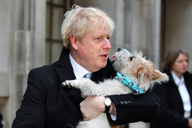 Борис Джонсън също гласува с кучето си Снимки: Ройтерс