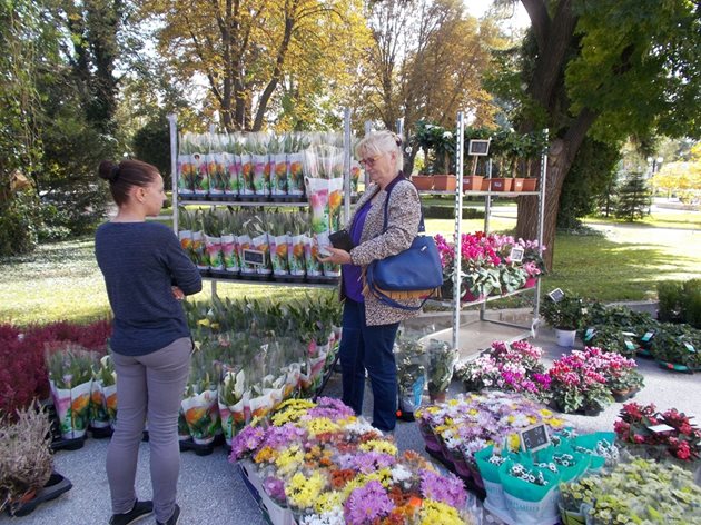 Богато разнообразие от цветя, декоративна растителност, овошки, семена, разсад, препарати,  оборудване и аксесоари за градинарството предлага  изложбата „Цветна есен 2017“ в Международен панаир Пловдив.