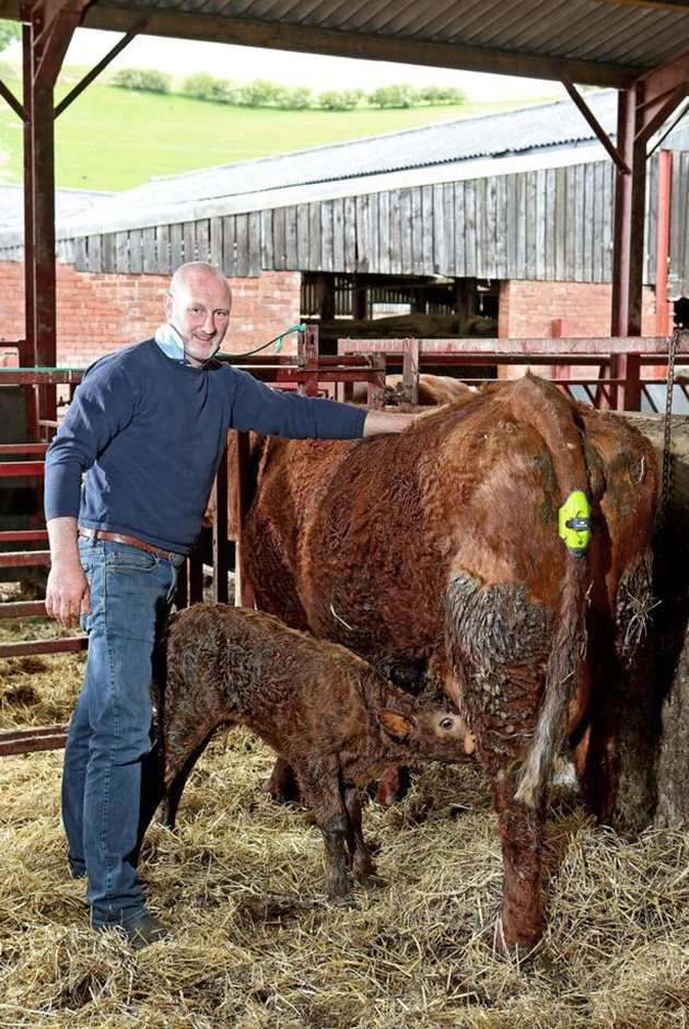 Говедовъдът от Североизточен Уелс Ричард Тюдор е един от първите фермери, които изпробват новата IT-технология