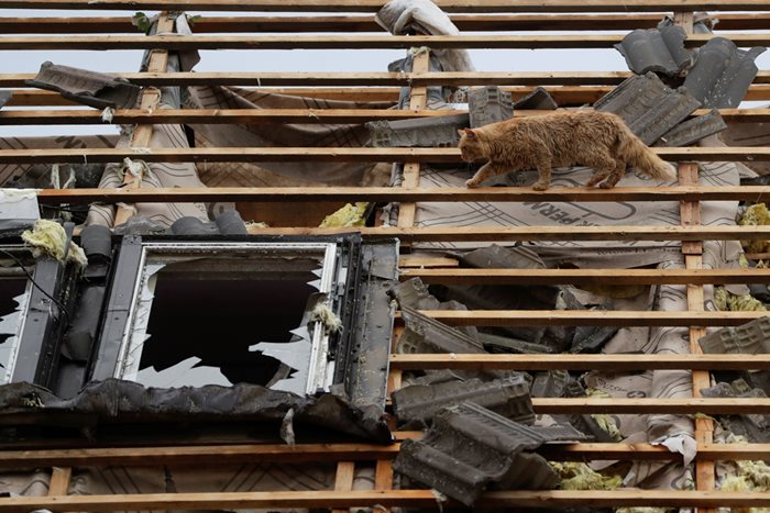 Котка обикаля разрушен покрив в село Микулчице.