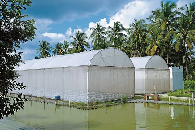 Lumite Shade Cloth