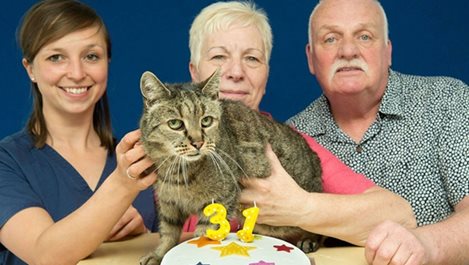 Най-възрастната котка на планетата навърши 31 години