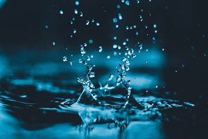 "Бъди като водата" - философията на Брус Лий