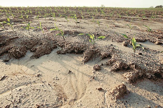 Водната ерозия води до унищожение на големи количества плодородна почва