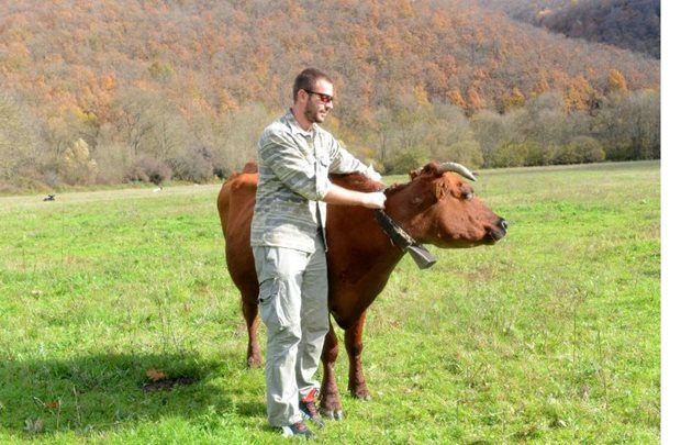 Васил Морфов е член на Асоциацията за развъждане на месодайните породи говеда в България - Херефорд, Абърдийн Ангус, Лимузин. А оценката на браншовата организация е, че фермата в Бродилово е перспективна, направена икономично, притежава достатъчно пасища и би имала отлично бъдеще за устойчивост и развитие.
