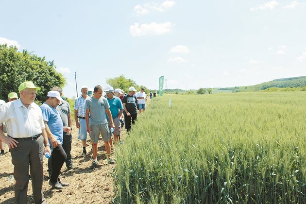 На открития ден в с. Радишево присъстваха земеделски производители от района на Плевен, Ловеч и Велико Търново
Снимки: Ваня Велинска
