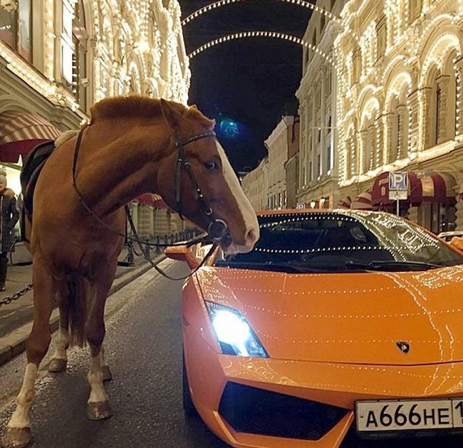 Има и забавни снимки – кон до Lamborghini.