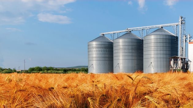 Индия би могла да изнесе 10 милиона тона пшеница. СНИМКА: ПИКСАБЕЙ