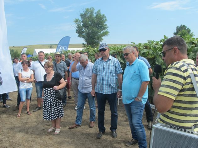 Все още родните фермери не оценяват соята, но това трябва да се промени, смята Борислав Горанов