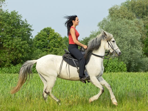 Конната езда намалява и лекува стреса. Ипотерапията - лечебната езда, са използвали още гърците при лекуване на болести и подобряване на жизнения тонус.