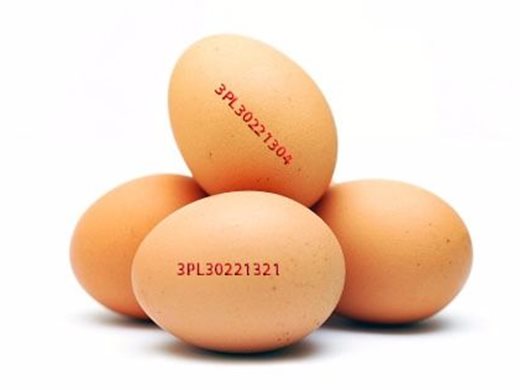 Как да проверим дали сме купили от яйцата със съмнение за салмонела
