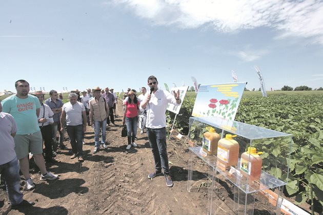 За българските производители на слънчоглед от отдела за растителна защита на компания БАСФ откроиха 2 основни момента на нападение от болести при културата - добре е фермерите да ги запомнят