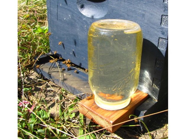 Ако пчеларят е запазил от есента пити с прашец, през ранна пролет тях трябва да напълни със сироп /1:1/ и да ги даде в гнездата до пилото. Така той извършва пълноценно подхранване на пчелите с белтъчна и въглехидратна храна, което е силен подтик за активно развитие на пчелните семейства.