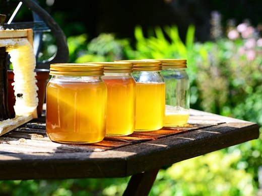Фонд "Земеделие" отпуска 18 000 лв за произвеждащите Странджански манов мед
