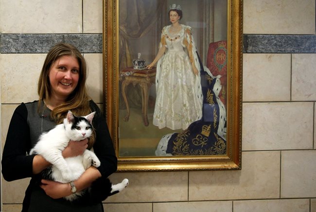 Лора Даубан показва първата котка - дипломат, в британското посолство в Йордания.