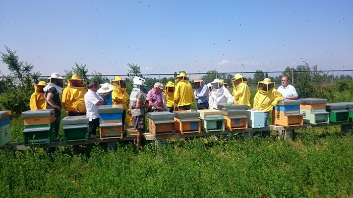 Част от членовете на Асоциацията на пчеларите от Верона


