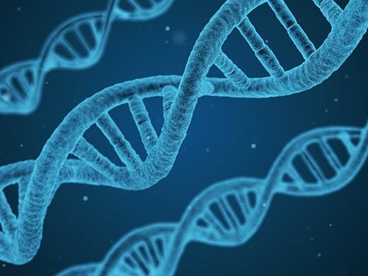 Учени настояват за разрешение да отглеждат по-дълго човешкиембриони