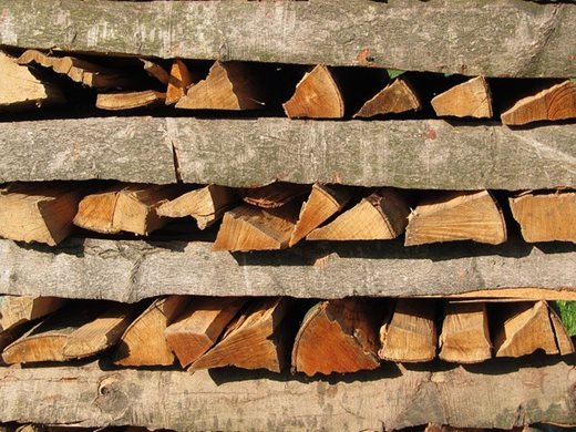 Няма евродиректива, която да забранява отоплението с дърва и въглища