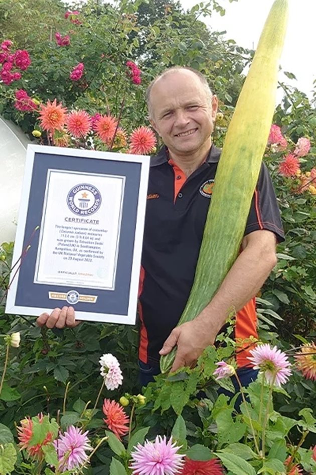 Най-дългата, според Книгата на рекордите на Гинес, е британско-полска краставица, отгледана от Себастиан Суски от Обединеното кралство през 2022 г.