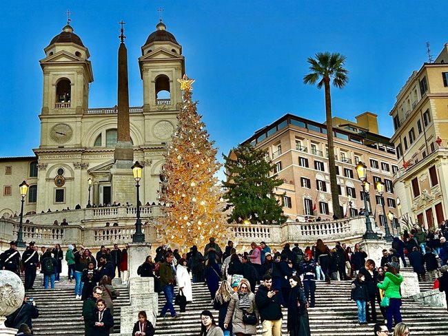 Коледното дърво на Испанското стълбище Снимка: Виолина Христова