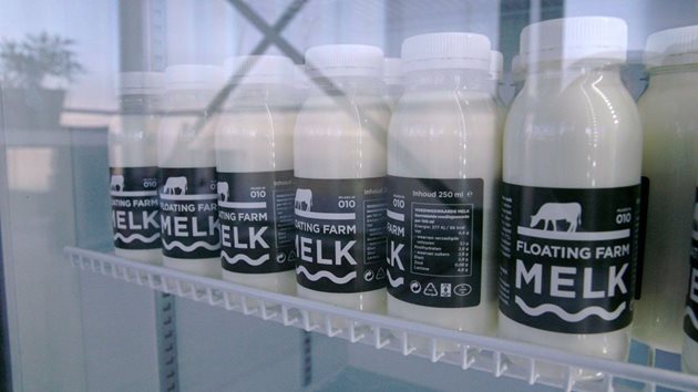 Все повече жители на Ротердам пият мляко, произведено в плаващата кравеферма
Снимки: Freethink