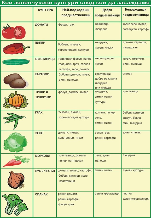 таблица за засаждане на зеленчуци по месеци
