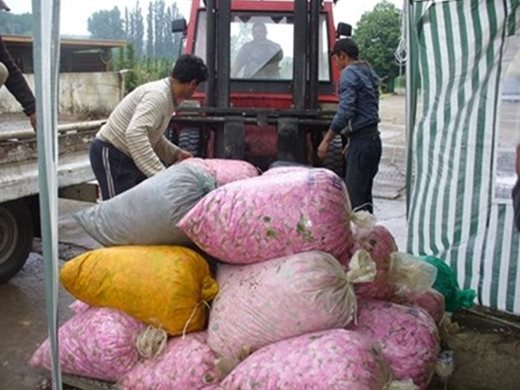 България е на път да получи уникален код от ЕС за защита на розовото масло