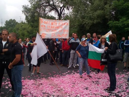 Порожанов: Качеството на българското розово масло е влошено от вносно (Снимки)