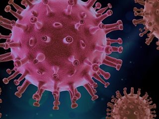 2 нови случая на коронавирус за последното денонощие