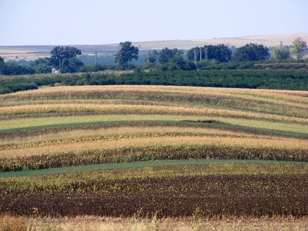 Фермерите вече могат да вземат земя на лизинг без първоначална вноска.