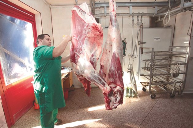 У нас се произвежда висококачествено говеждо месо. И ако секторът се развива правилно, може да си върнем загубените пазари като Гърция, Италия, Ливан, Алжир, Сирия и Йордания
Снимки: Андрей Белоконски