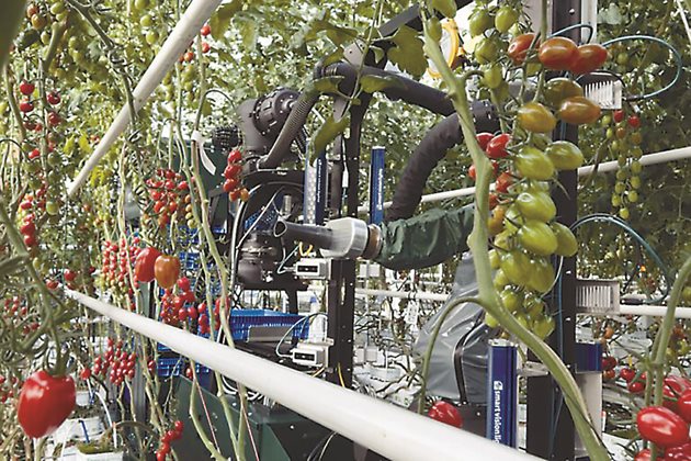 GR-100, работеща в завода TomatoVision на Syngenta в Нидерландия