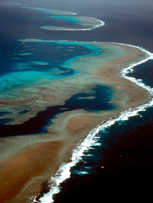 Миналата година специалисти от ЮНЕСКО изследваха рифа и го обявиха в голяма опасност. Снимките са от архива на Ройтерс оттогава. Вижда се как са избелели коралите.