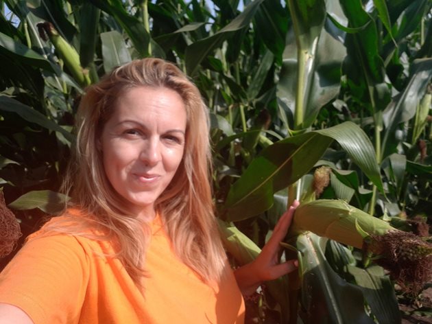 В последните години царевицата е най-успешната култура в Северна България, коментира Радка Иванова
