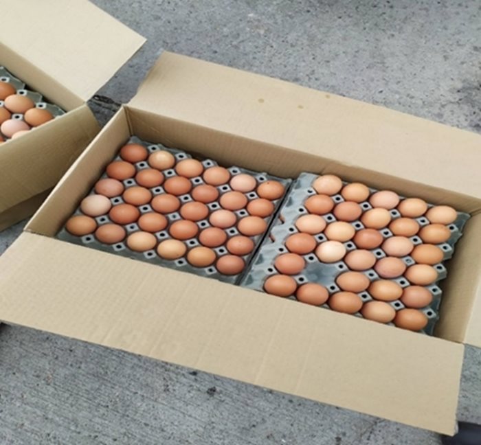 Яйцата от Украйна няма да бъдат ограничавани, както и птиче месо, мед, олио.