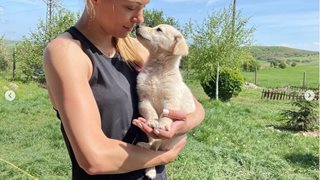 Голямото сърце Йоанна Темелкова помага на бездомни кучета