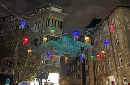Коледна украса с костенурка и медузи в София, Борис Бонев я брани