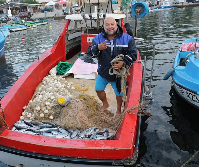 Рибарите в Царево са изключително доволни от богатия улов на паламуд. 
