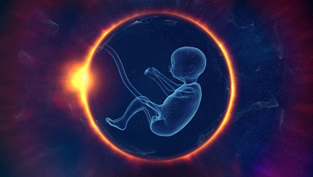 Родиха се близнаци, плод на замразен преди 30 години ембрион