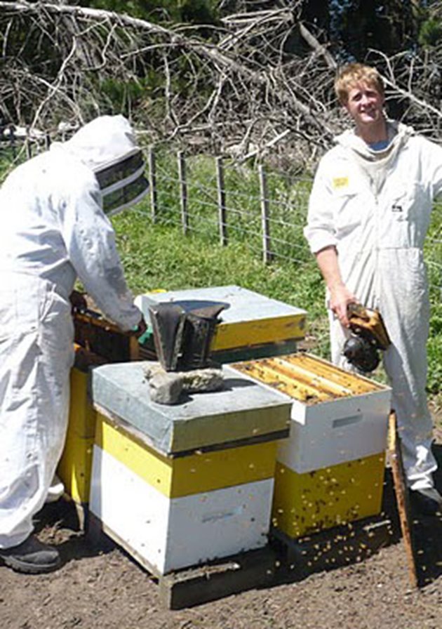 По време на първите пролетни прегледи след зимата намесата на пчеларя в живота на пчелното семейство трябва да е много внимателна