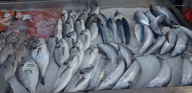 След отпадането на забраната за риболов борсите са намалили цените