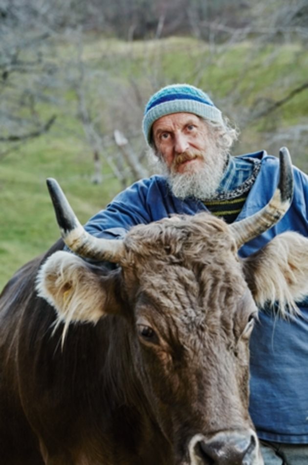 От девет години Армин Капол се бори швейцарските крави да имат рога и за федерално подпомагане от 190 швейцарски франка на глава  Снимка: Hornkuh-Initiative
