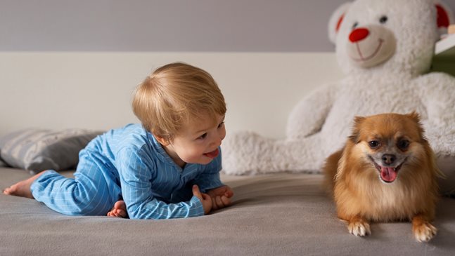 Как да подготвим кучето за появата на бебето?