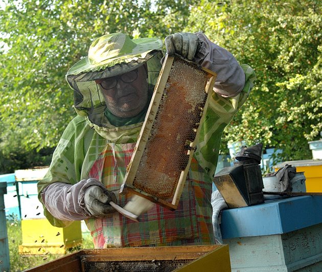 Пчелар се оплаква от слабите добиви. Снимка: Наташа Манева