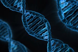 Университета в Аделаида са "конструирали" бактерия, способна да открива мутирала ДНК. Снимка: Pixabay