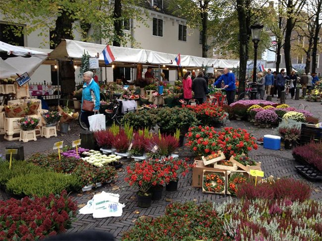 Пазарът на цветя в Ютрехт е впечатляващ дори през есента. Влизайки в него, всъщност се забравя, че е студено, защото цветовете на красивите растения носят усещането за лято.