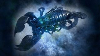 Скорпион - хороскоп 2017-а