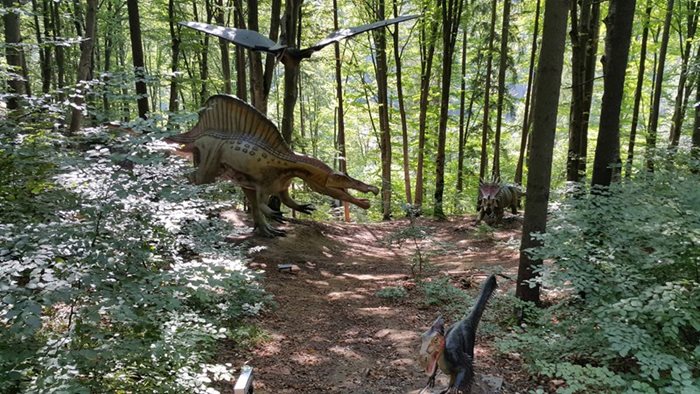 Най-впечатляващите находки са два прешлена от едри влечуги, вероятно динозаври.
