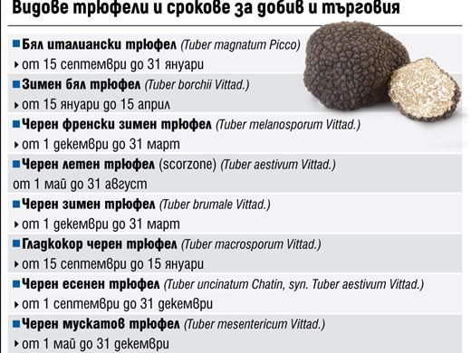 България изнася трюфели за 150 млн. евро годишно